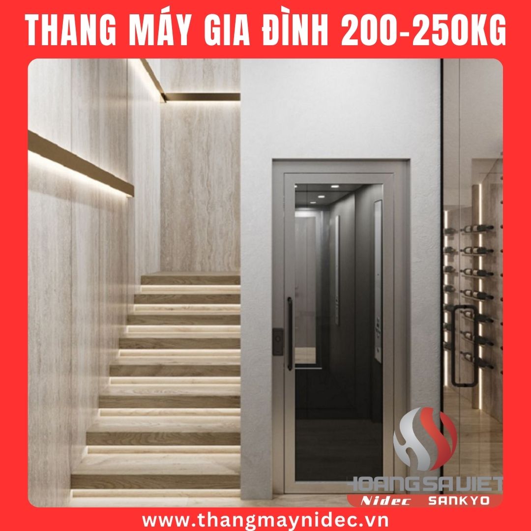 Thang máy gia đình 200-250Kg