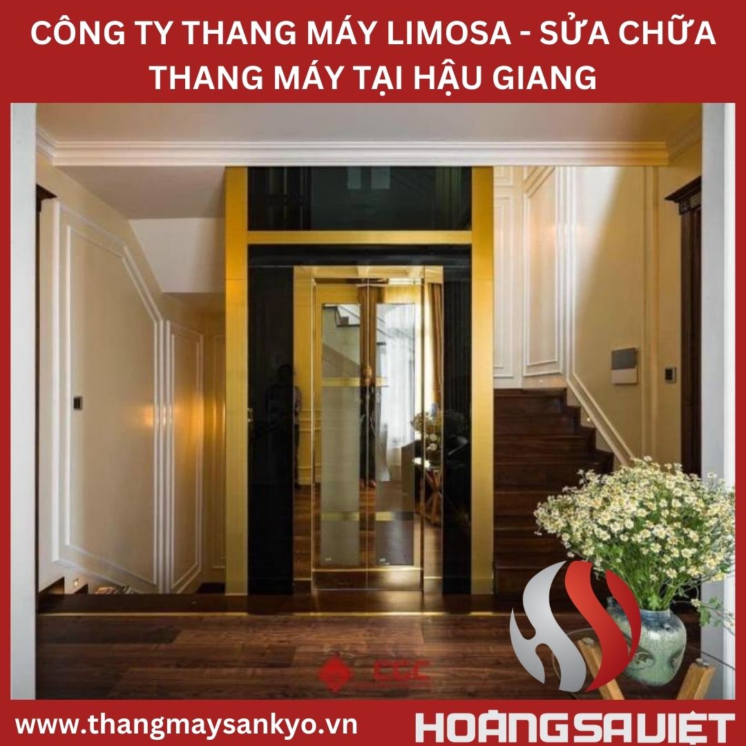 LIMOSA ELEVATOR COMPANY - ELEVATOR REPAIR IN HAU GIANG