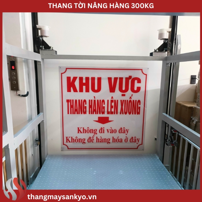 Thang tời nâng hàng hoá 300kg