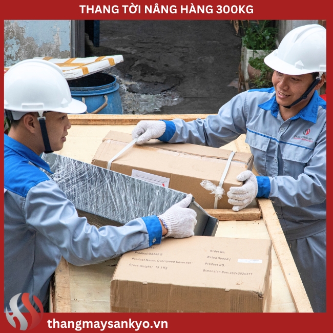 NOVALIFT lắp đặt thang tời nâng hàng 300kg