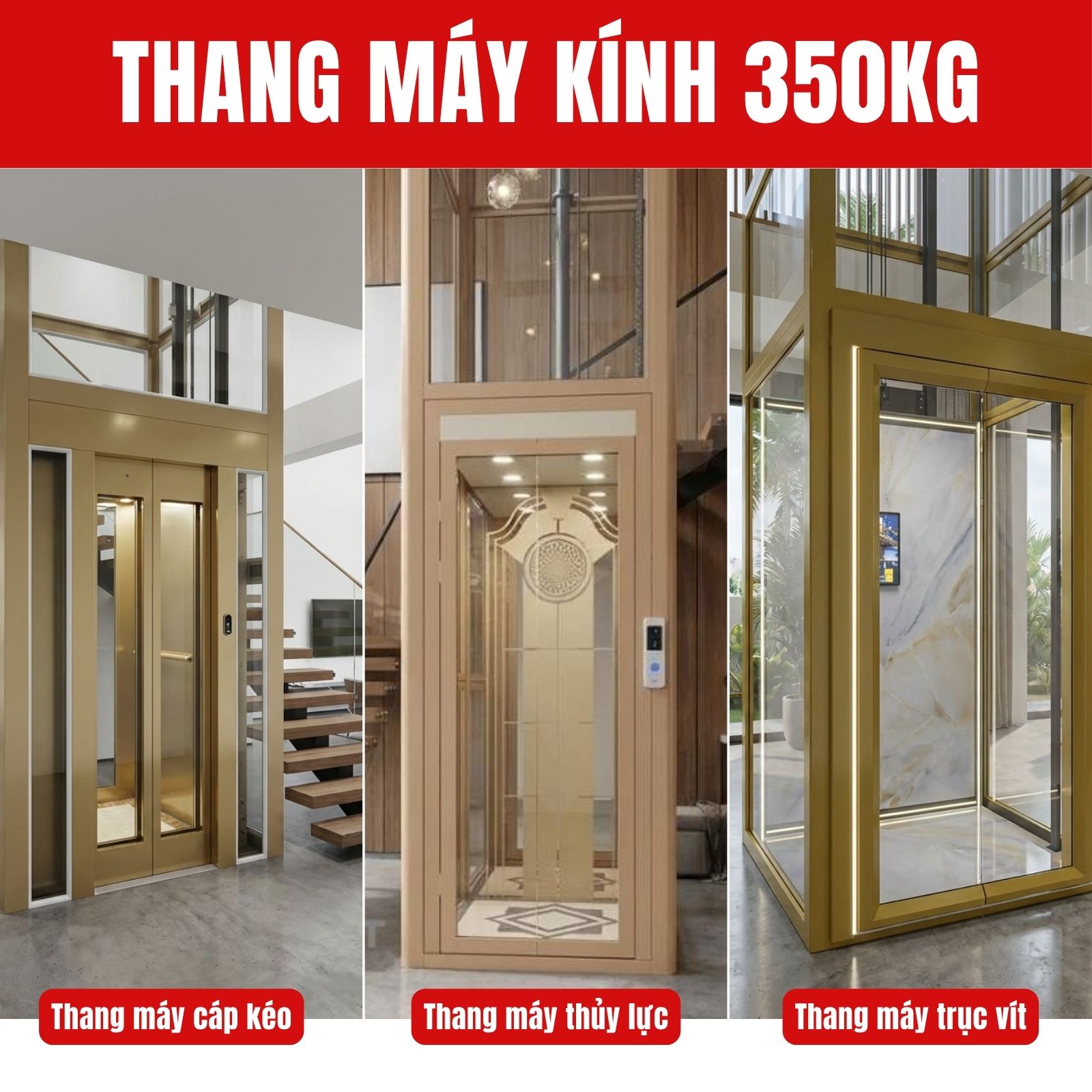 Popular types of glass elevators in Vietnam