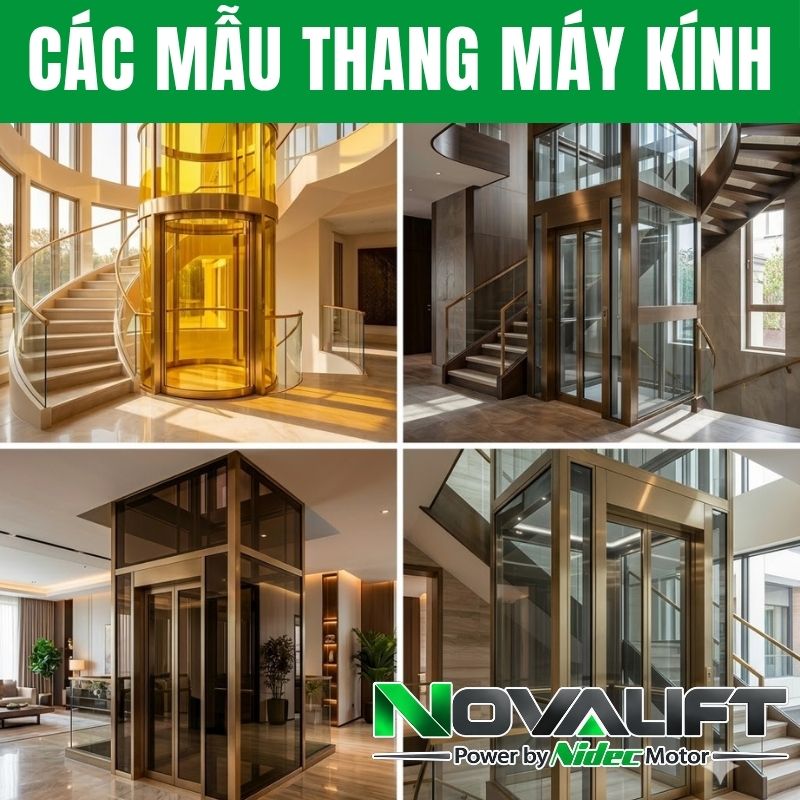 Màu kính thang máy