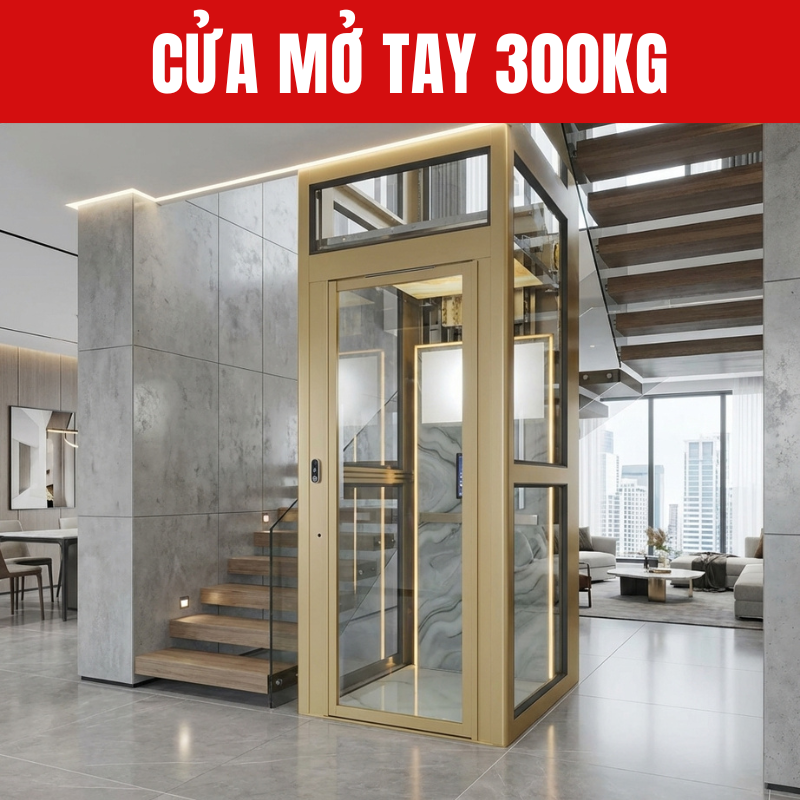 300kg Home Elevator
