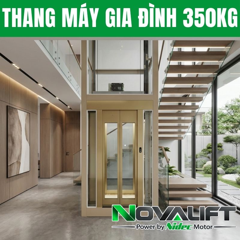 Thang Máy Gia Đình 350kg 