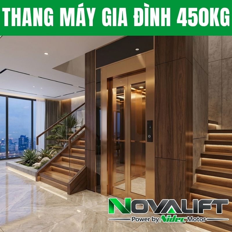 Thang Máy Gia Đình 450kg