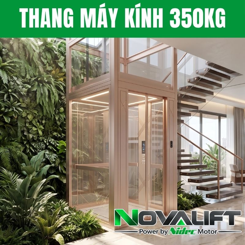 Thang máy kính 350kg