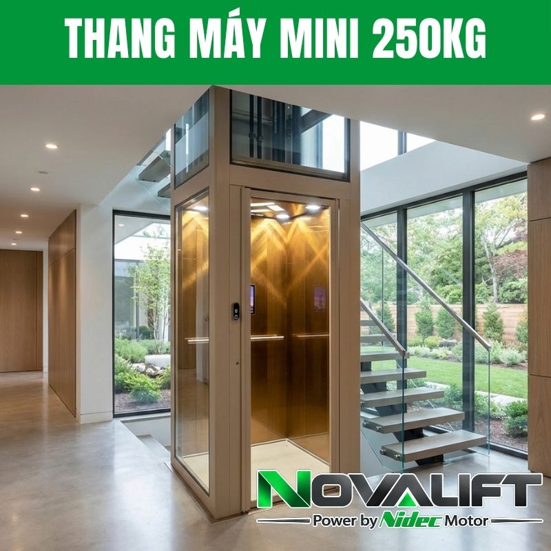 Thang máy mini 250kg