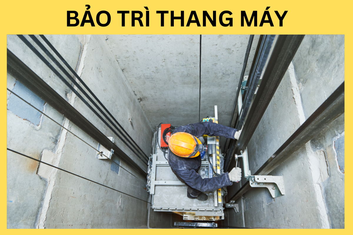 bảo dưỡng thang máy