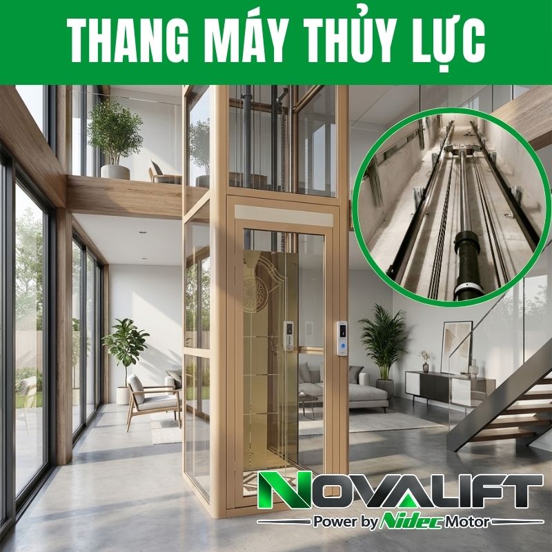 Thang máy thủy lực 