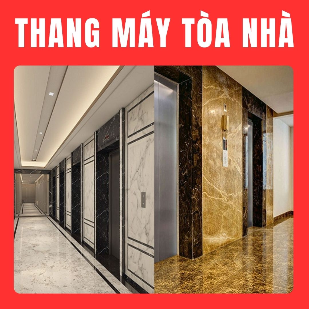 passenger elevator