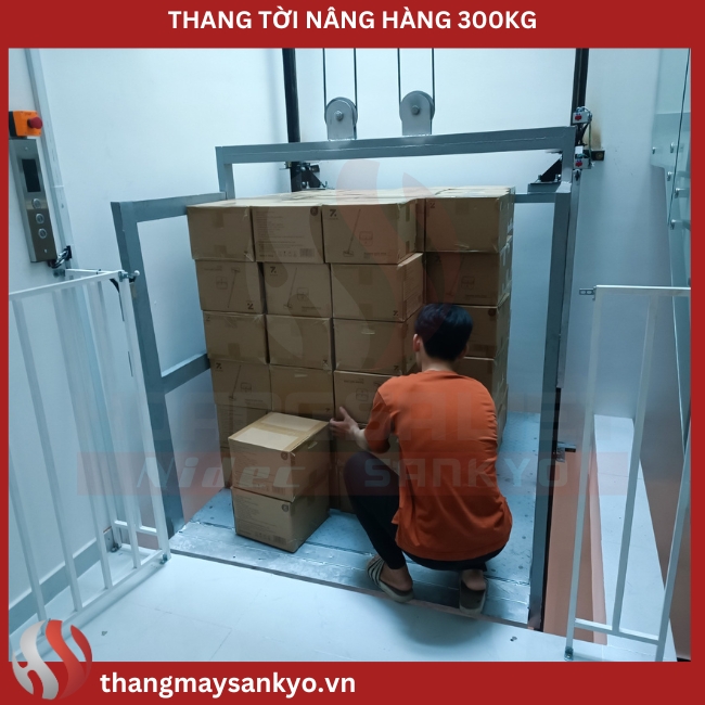 Thang Tời Nâng Hàng 300Kg Thang Tời Nâng Hàng 300Kg