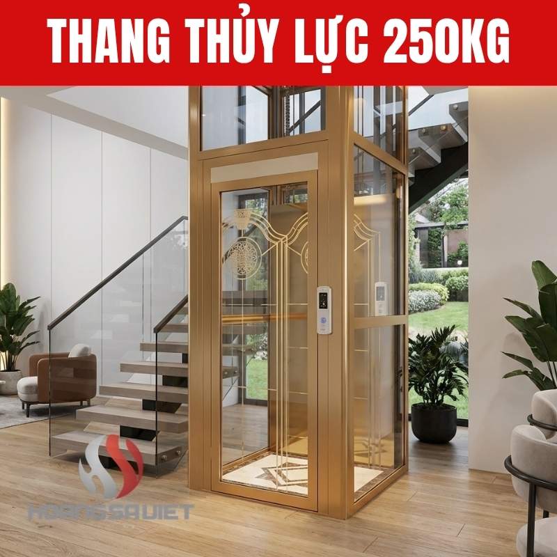 Thang Máy Thủy Lực 250Kg Thang Máy Thủy Lực 250Kg