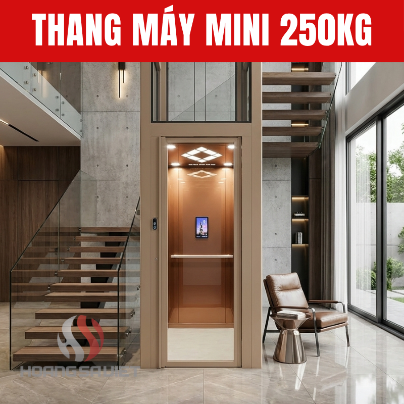 Thang Máy Mini 250Kg Thang Máy Mini 250Kg