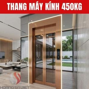 Cầu Thang Máy Kính 450Kg