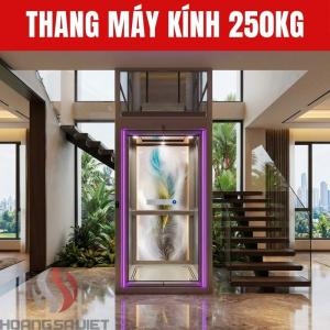 Thang Máy Kính Trong Nhà 250Kg