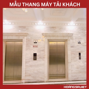 thang máy tải khách công ty