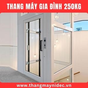 Thang Máy Gia Đình 250Kg